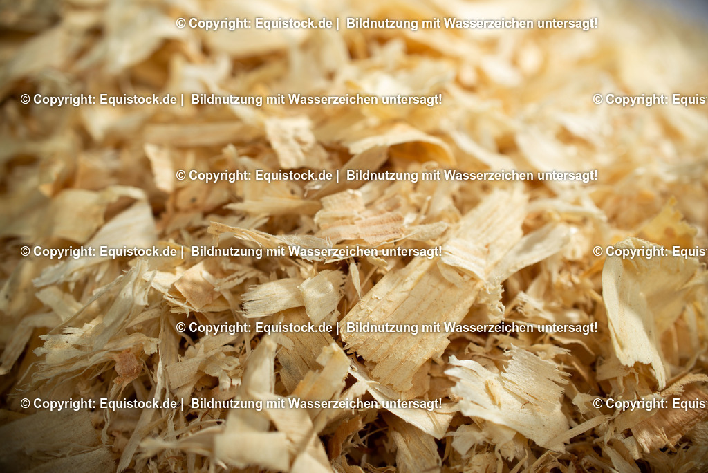 20190409_Rundholz-Span_0010 | Foto: Thomas Hartig