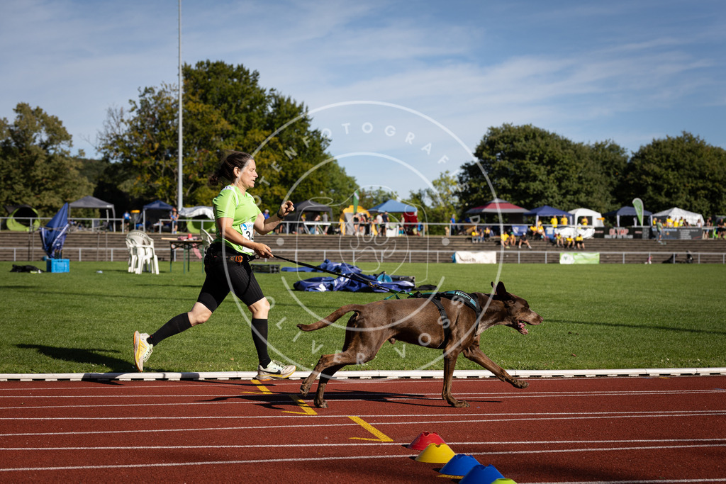 Pfotenfotografie_DV3A8743 | Hundefotografie, Tierfotograf, Pfotenfotografie, Fotoshooting Hund, Hunde Portrait, Hundesport, Hundeportraits, Heideshooting, Hunde, Sportfotograf, Hundefotograf, Turnierhundsport, THS,  - Realisiert mit Pictrs.com