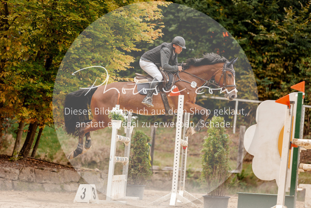 3I6A8256 | Stimmungsvolle Portraits und Reitsportfotografie im Ruhrgebiet und im Münsterland.

Pferdefotografie, Hundefotografie, Tierfotografie, Reportagen, Portraits von Tier und Mensch, Turnierfotografie in Bochum, Recklinghausen, Marl, Haltern am See, Dülmen.. - Realisiert mit Pictrs.com