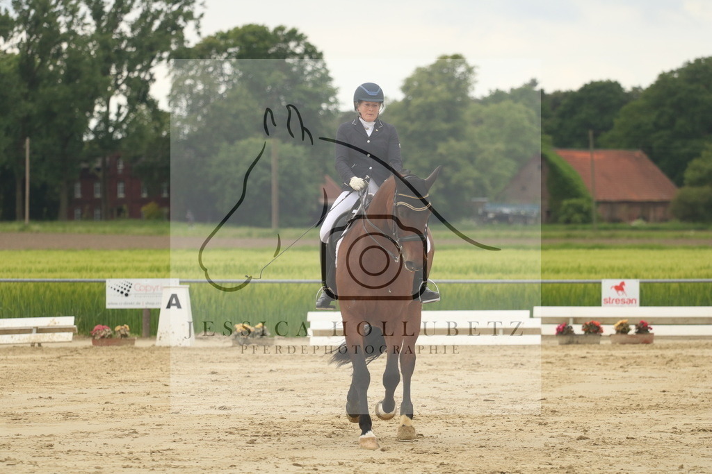 IMG_7591 | jessicahollubetz_pferdephotographie - Realisiert mit Pictrs.com