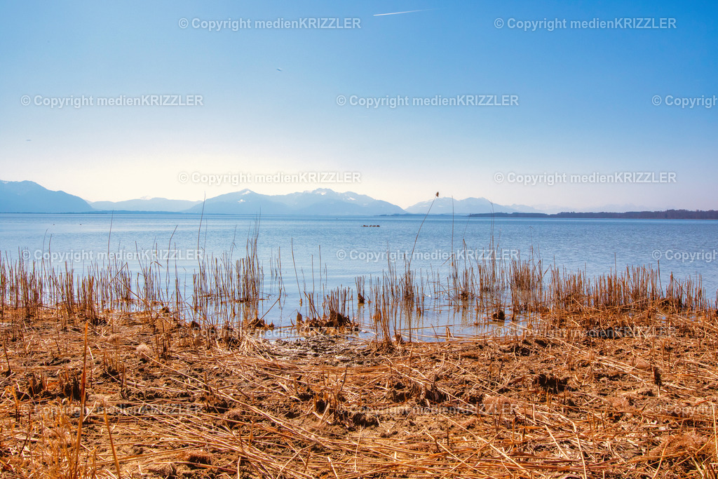 _07A6975 | Seeufer am Chiemsee - Realisiert mit Pictrs.com