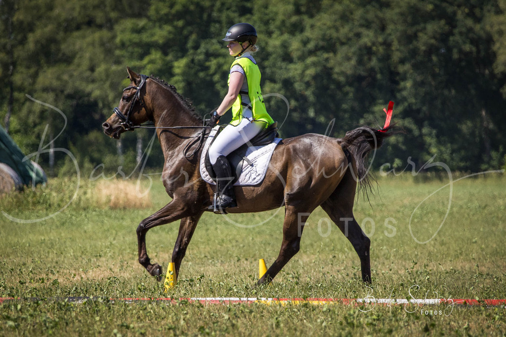 CJP_2026-06-26_176 | Stimmungsvolle Fotografie von Pferden, fotografische Begleitung von Veranstaltungen, Golfturnieren und Distanzritten - Realisiert mit Pictrs.com