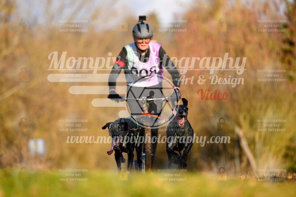 MompixPhotography_10Schwabentrail2026_SO_Scooter-10 | PayLife