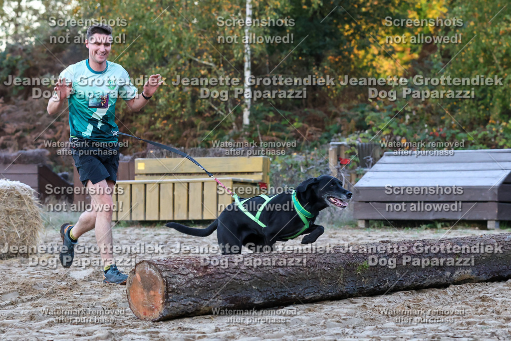 Dog Paparazzi - Strongdog 10-25-132 | Dog Paparazzi Jeanette Grottendiek Fotografie & Videografie - Realisiert mit Pictrs.com