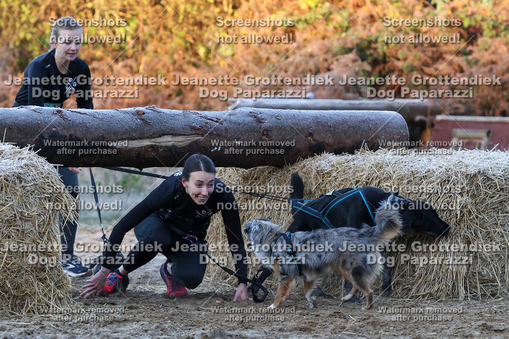 Dog Paparazzi - Strongdog 10-25-387 | Dog Paparazzi Jeanette Grottendiek Fotografie & Videografie - Realisiert mit Pictrs.com