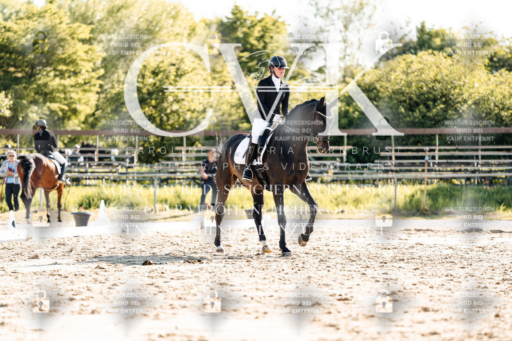 CK909964 | Turnierfotografie Pferdefotografie Trier Rheinland-Pfalz Pferdesport Reitsport Tierfotografie Sportfotografie Pferdevideo Pferdevideografie Equestrianvideography equestrianphotography  - Realisiert mit Pictrs.com