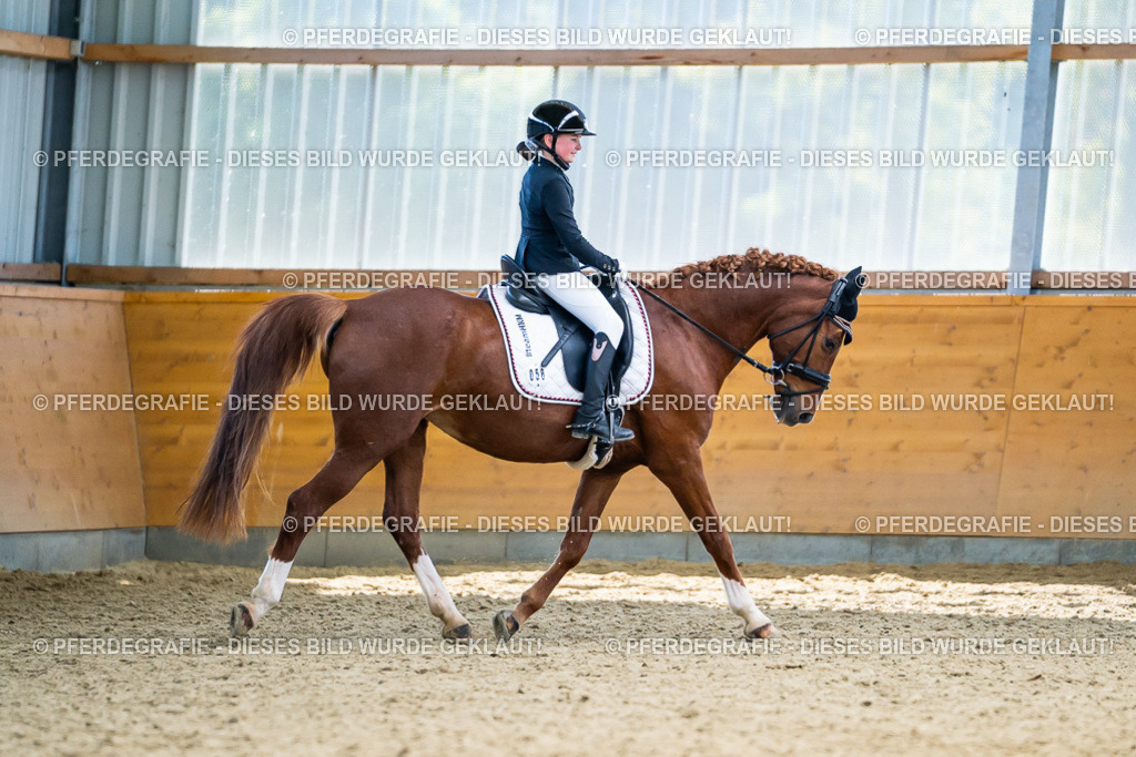 DSC05242 | Pferdegrafie