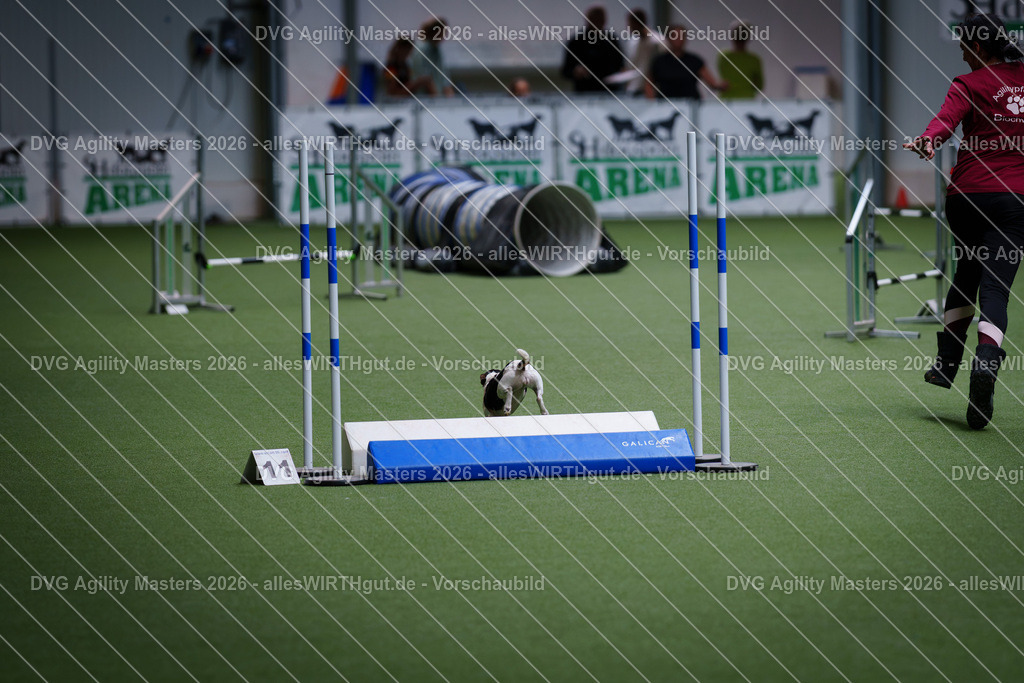 allesWIRTHgut_Tierfotografie-DVG_Agility_Masters_2026-12_30-7R508490 | Professionelle Tierfotografie in Mönchengladbach von Daniel Wirth (allesWIRTHgut). Liebevolle & natürliche Bilder von Hunden & Katzen für unvergessliche Erinnerungen.