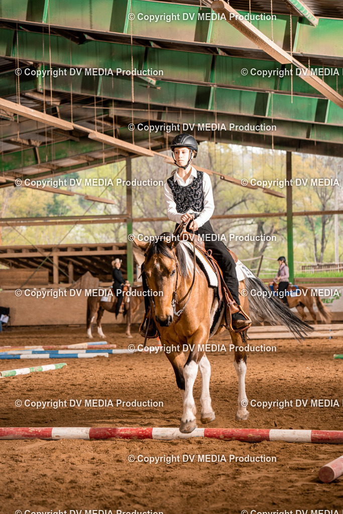 BA300336 | dv-media-shop - Realisiert mit Pictrs.com