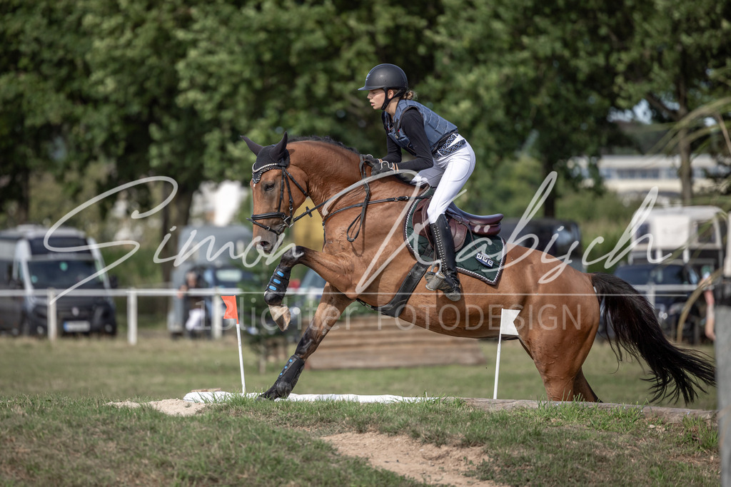 20250907-_3LI9335 | Tierfotografie Pferde, Hunde, Katzen, Haustiere.
Turnierfotografie Reitturniere, Reiten, Springreiten, Dressur in Hanau, dem Main-Kinzig-Kreis und dem Rhein-Main- Gebiet um Frankfurt