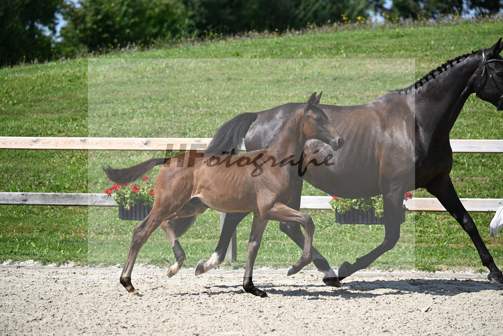Escaneno x Dante Weltino_HF_Ruth_29240283 | hf-fotografie - Realisiert mit Pictrs.com