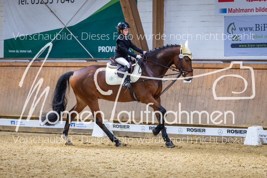 _M2A1890 | MomenTaufnahmen Pferdesportfotos