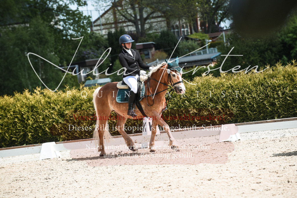 20230518_JK-Röhrsdorf-11-0517 | Pferde- und Turnierfotografie in Westsachsen. Pferdeportraits, Auftragszeichnungen und intuitive Kunst.