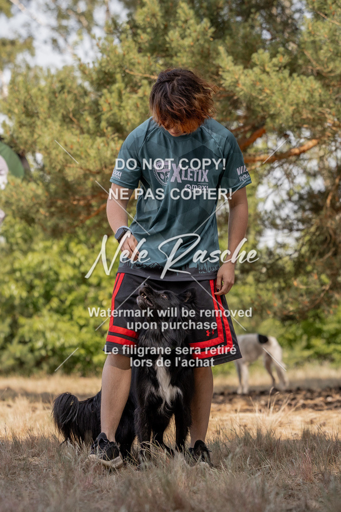 nelerasche_soDD2_314 | nelerasche