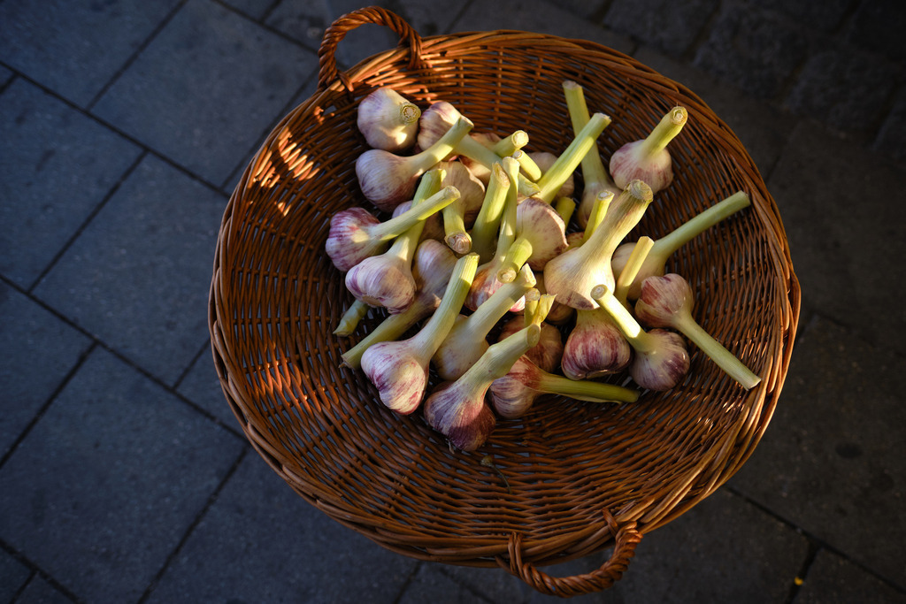 frischer Knoblauch in einem Korb | München, Deutschland - April 07, 2019: ein Korb mit mit frischem Knoblauch am Viktualienmarkt. - Realisiert mit Pictrs.com