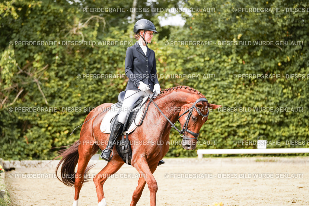 DSC03427 | Pferdegrafie