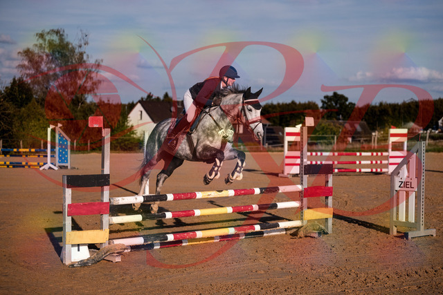 2026_10_03_Siefer-Hof_171341_Z81_10628201 | Professionelle Reitsport-, Turnier- und Eventfotografie von Robert Broda. Galerien mit ausgewählten und bearbeiteten Bildern direkt online ansehen und bestellen.