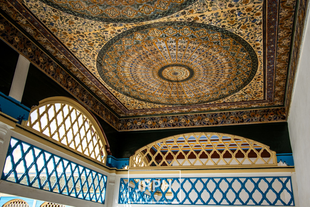 IMG_8076 | jrph - Realisiert mit Pictrs.com