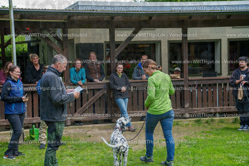 @allesWIRTHgut_Tierfotografie - www.allesWIRTHgut.de - 7R502380 | Professionelle Tierfotografie in Mönchengladbach von Daniel Wirth (allesWIRTHgut). Liebevolle & natürliche Bilder von Hunden & Katzen für unvergessliche Erinnerungen.