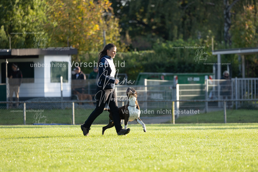 _16A6075 | Einzigartige Fotos von Hunden & Menschen –Actionfotos, Portraits, Vereinsaufnahmen & Paarshootings – authentisch, lebendig & mit Herz.