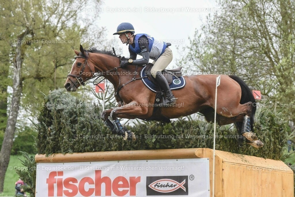 20230513_CCI4_Gelände_0498 | equistock