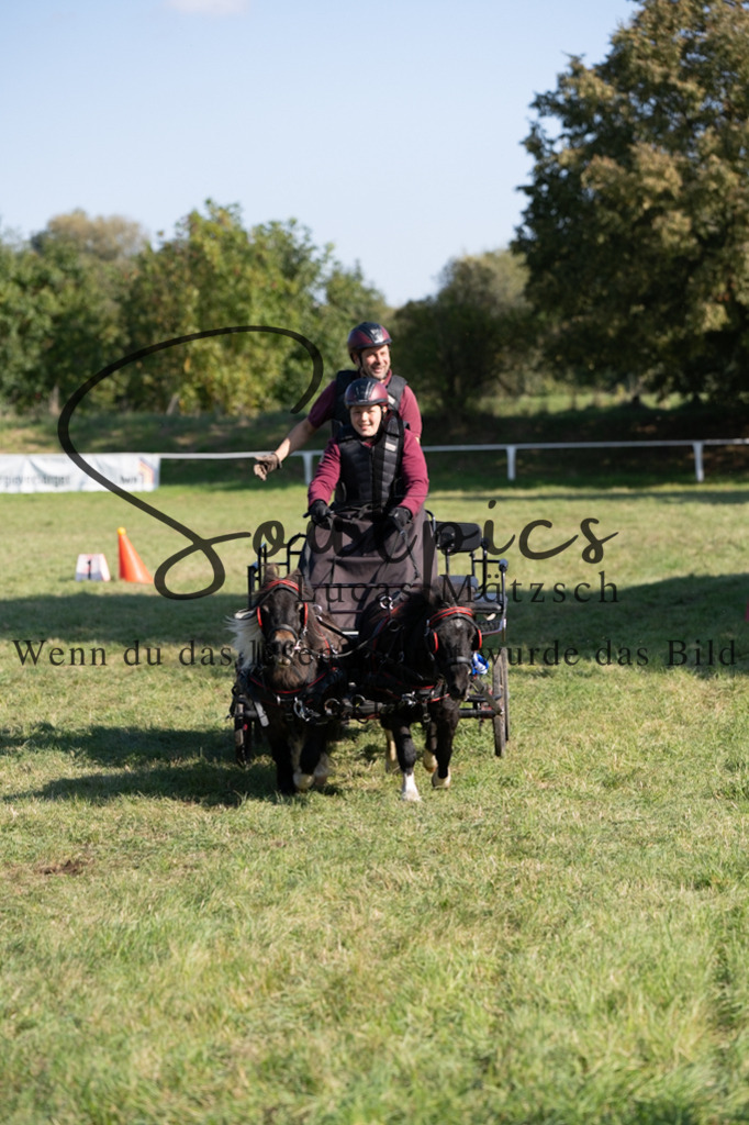 A7V04439 | Pferdefotograf