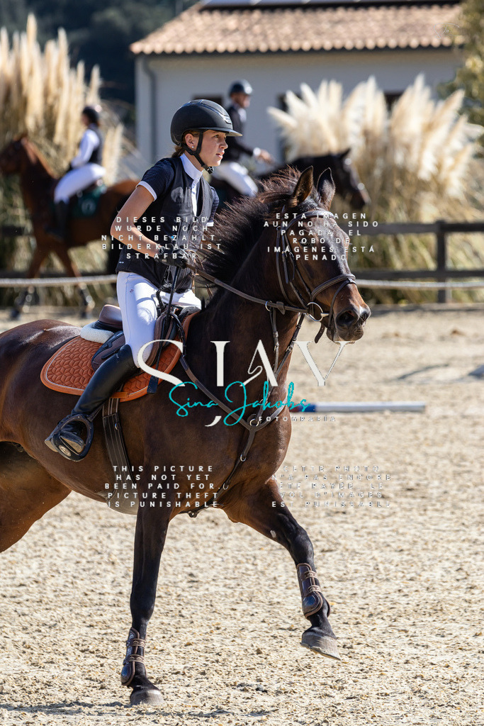 IMG_6297 | s-jay-photography - Realisiert mit Pictrs.com