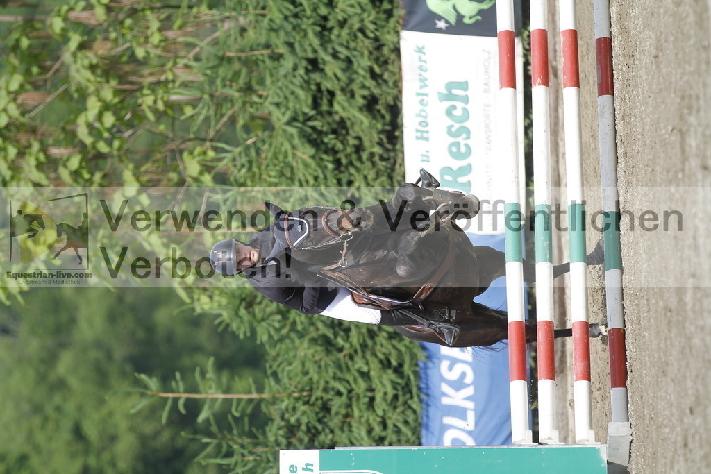 _MG_4533 | equestrian-live-com