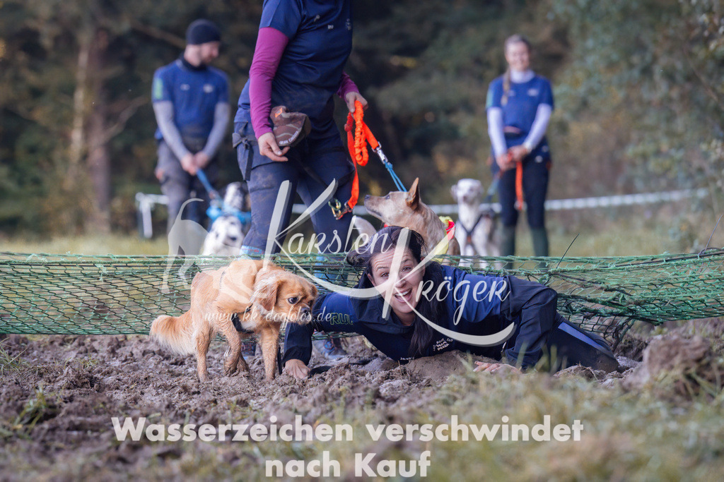 1047_ZZ92536 | kk-dogfotos