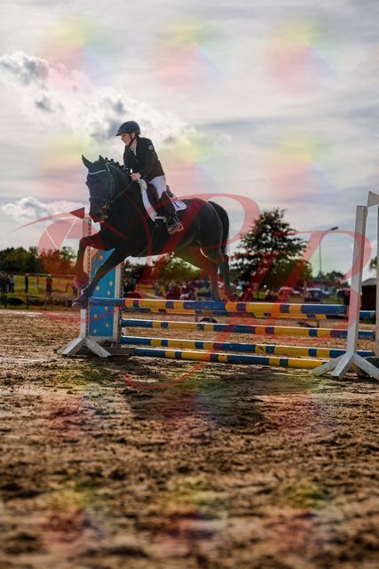 2026_10_03_Siefer-Hof_154923_Z63_10102376 | Professionelle Reitsport-, Turnier- und Eventfotografie von Robert Broda. Galerien mit ausgewählten und bearbeiteten Bildern direkt online ansehen und bestellen.