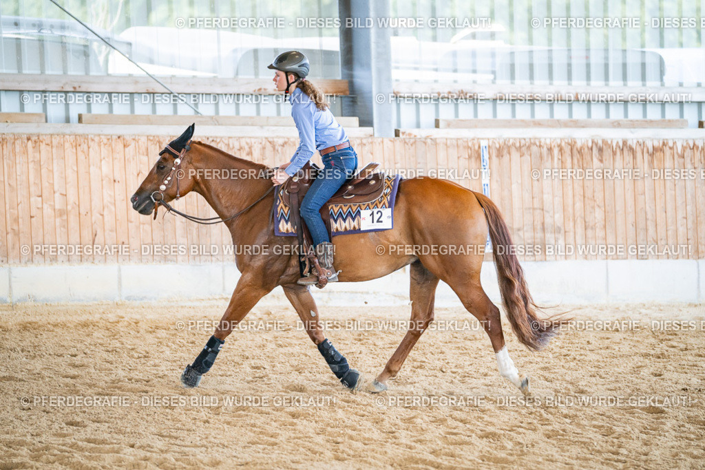 DSC03587 | Pferdegrafie