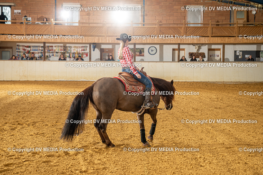 MIT00667 | dv-media-shop - Realisiert mit Pictrs.com