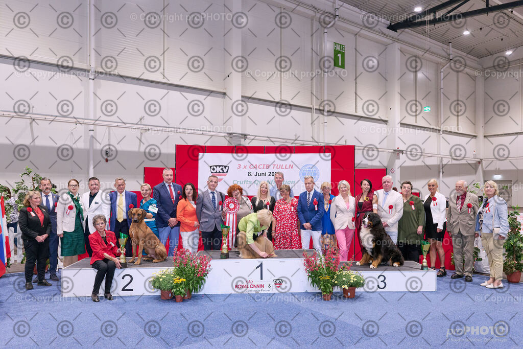 202406_ÖKV-IHA-Tulln24_NZ9_8838 | proPHOTO - Realisiert mit Pictrs.com