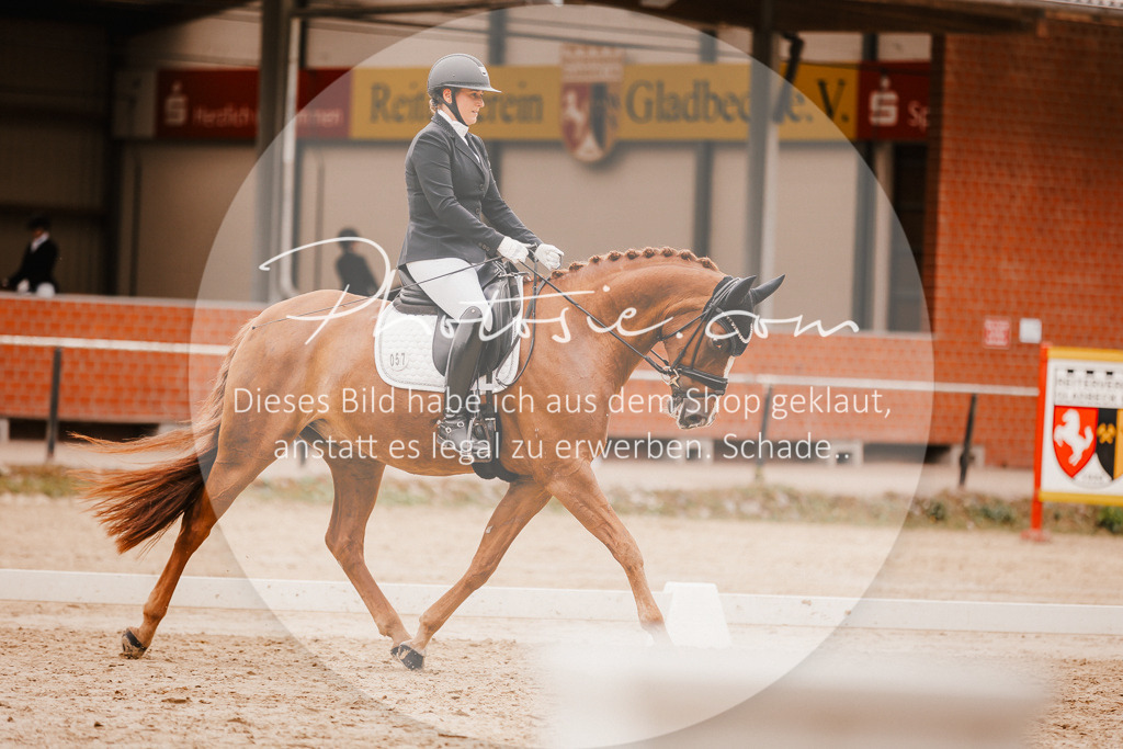 3I6A5898 | Stimmungsvolle Portraits und Reitsportfotografie im Ruhrgebiet und im Münsterland.

Pferdefotografie, Hundefotografie, Tierfotografie, Reportagen, Portraits von Tier und Mensch, Turnierfotografie in Bochum, Recklinghausen, Marl, Haltern am See, Dülmen.. - Realisiert mit Pictrs.com