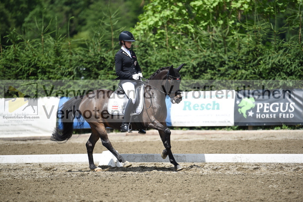 DSC_1435 | equestrian-live-com