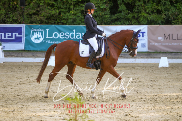 DKP41641 | Turniersportfotografie; Pferdefotografie; Dressurfotografie