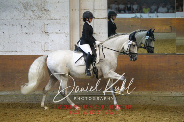 DKP44403 | Turniersportfotografie; Pferdefotografie; Dressurfotografie