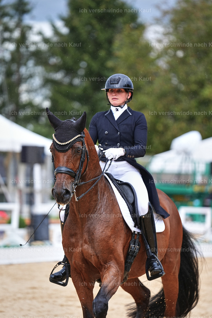 8_1-100-Klasse S_  -Marixx-4203 | working equitationturnier fotograf videograf stoibphotography marixx film working equitation deutschland reitsport turnierfotografie eventfotografie equestrian events