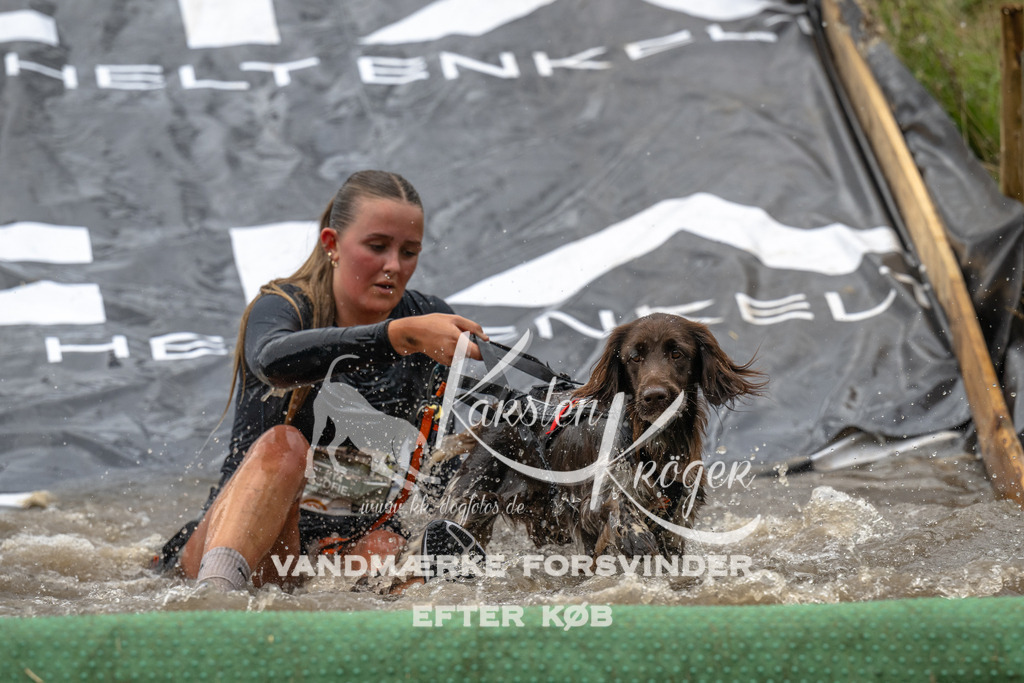 1557_ZZ91545 | kk-dogfotos