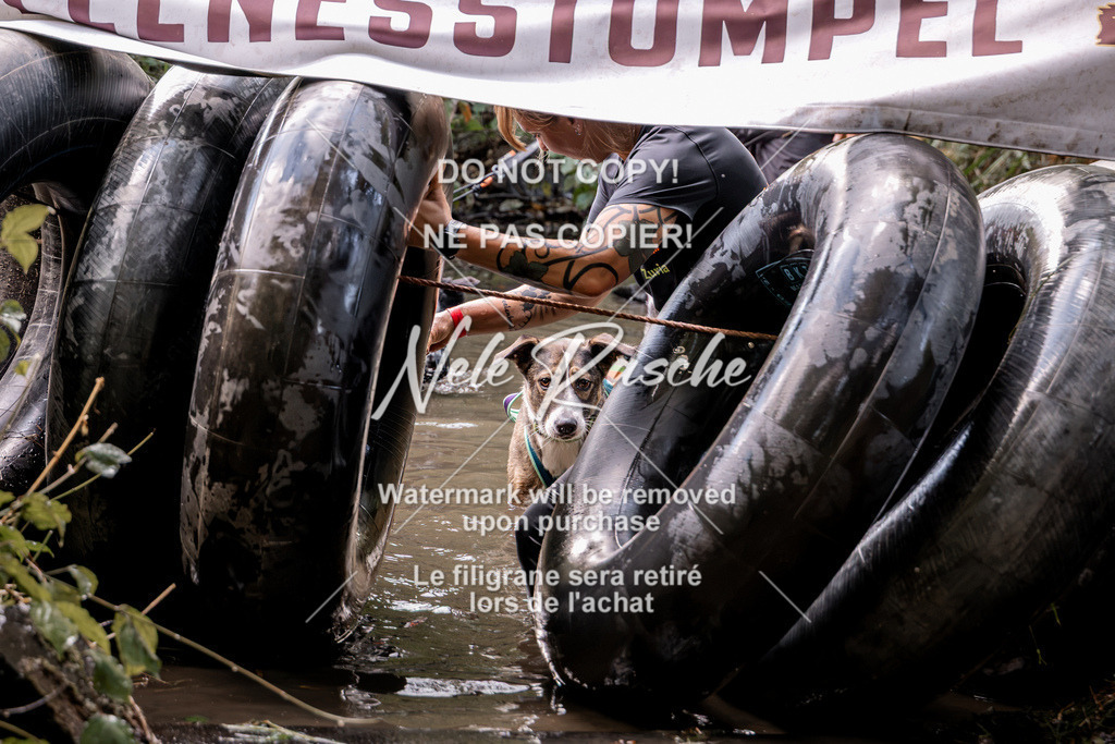 nelerasche_Hunsrück2026_Sa1400-1500_176 | nelerasche