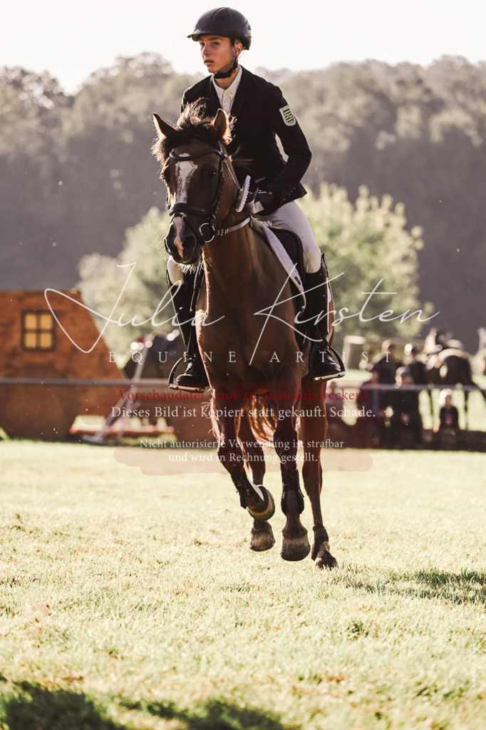 DSC_4579 | Pferde- und Turnierfotografie in Westsachsen. Pferdeportraits, Auftragszeichnungen und intuitive Kunst.