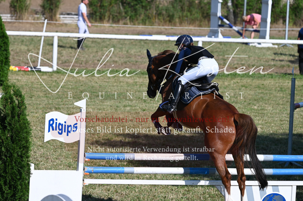 DSC_2340 | Pferde- und Turnierfotografie in Westsachsen. Pferdeportraits, Auftragszeichnungen und intuitive Kunst.
