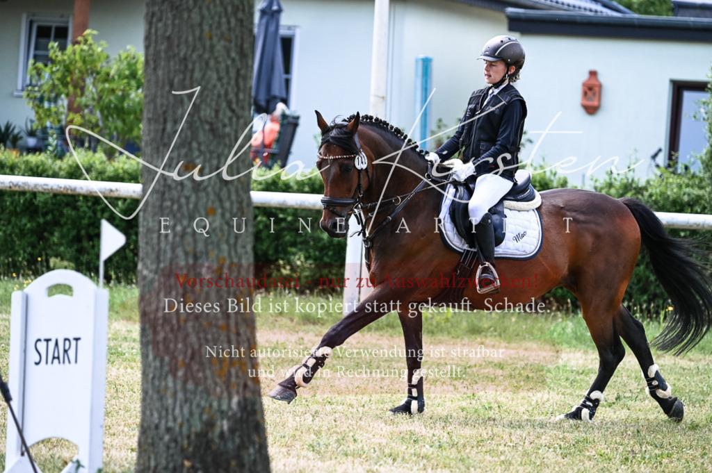 DSC_9637 | Pferde- und Turnierfotografie in Westsachsen. Pferdeportraits, Auftragszeichnungen und intuitive Kunst.