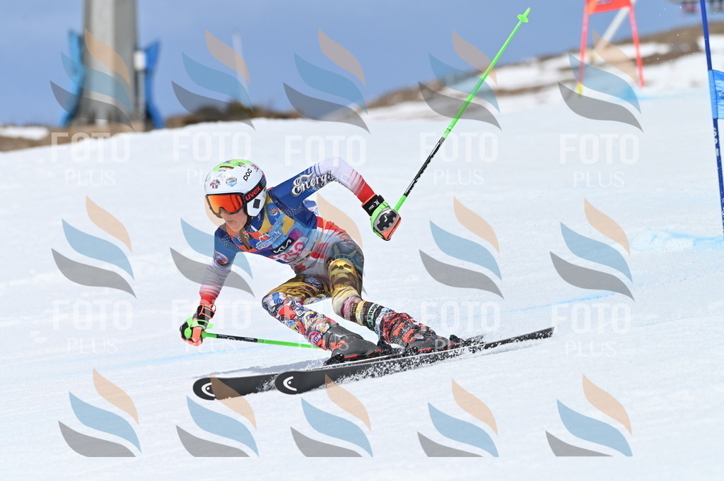 BGV_1947 | holidayphoto