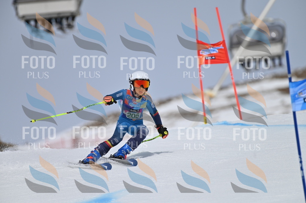 BGV_3943 | holidayphoto