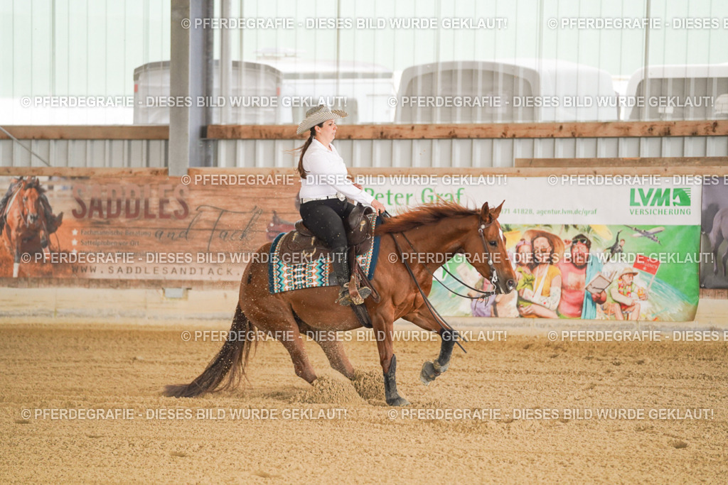 DSC00400 | Pferdegrafie