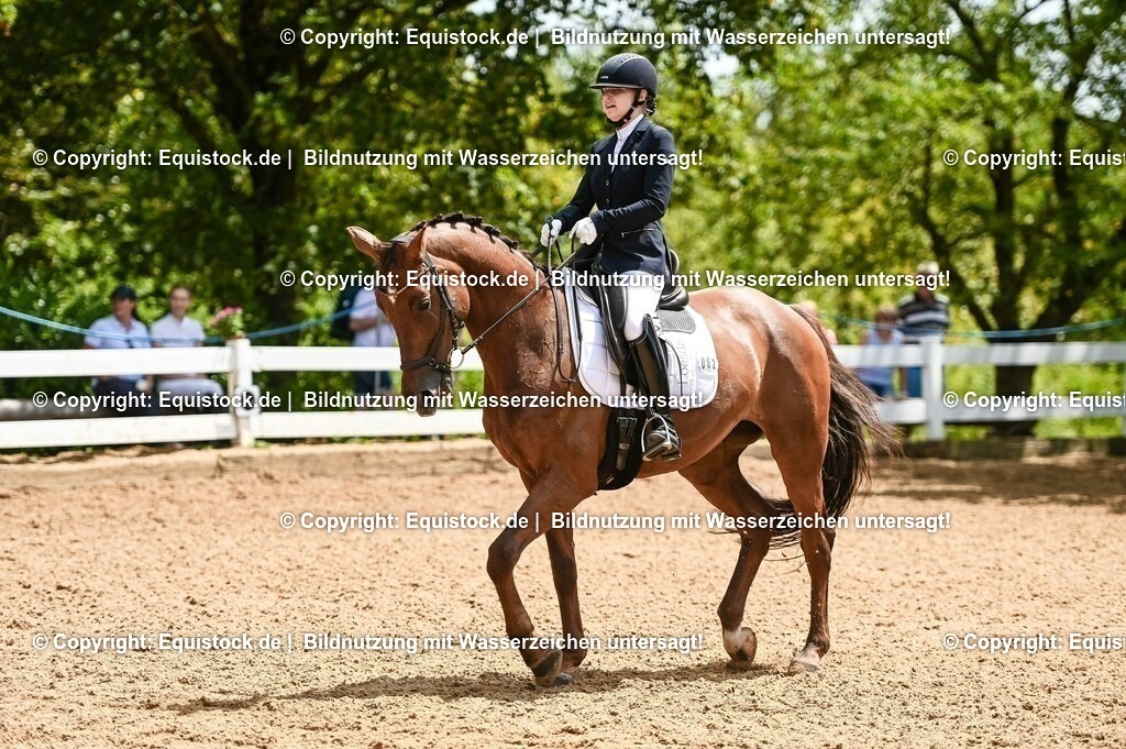 20230716_03_Dressurprfg. Kl.L - Tr._0414 | equistock