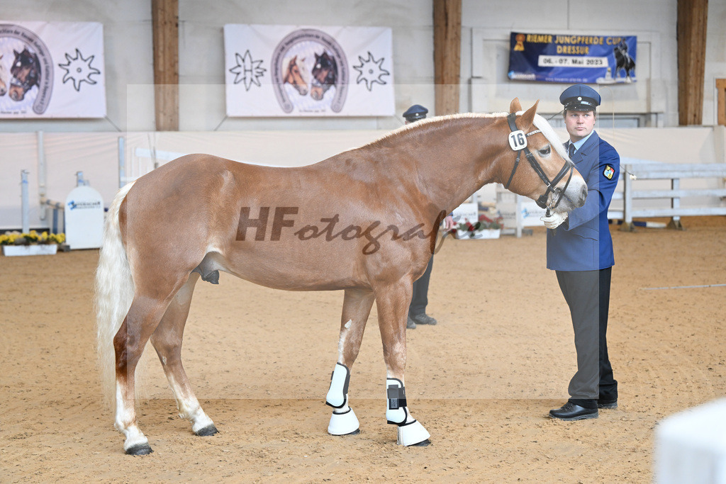 Kat-Nr. 16 v. Sturmdrang_HLG Schwaiganger_2230210 | hf-fotografie - Realisiert mit Pictrs.com