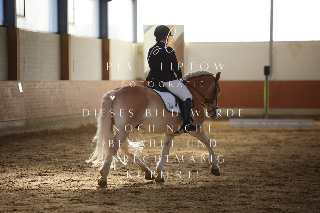 IMGT6240 | pl-fotografie