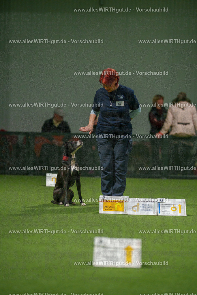 7R507374 | Professionelle Tierfotografie in Mönchengladbach von Daniel Wirth (allesWIRTHgut). Liebevolle & natürliche Bilder von Hunden & Katzen für unvergessliche Erinnerungen.